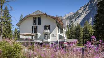 Hotel Handeck