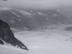 View from the Jungfrau Pass of the Aletsch Glacier in black and white