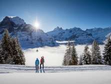 Randonnée hivernale sur les sentiers enneigés autour de Grindelwald. Les randonneurs profitent de cette journée ensoleillée et de la vue imprenable sur l'Eiger.