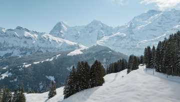 A bird's-eye view shows the snow-covered landscape along the BLM route between Grütschalp and Mürren. The railway line winds through white slopes, passing isolated huts and fir trees, with views of the surrounding mountains.