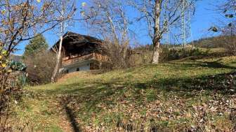 Chalet z'Wald 