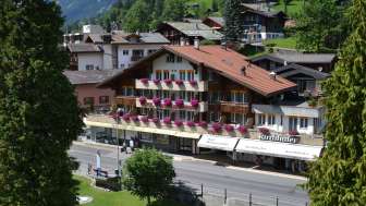 Hôtel Grindelwalderhof