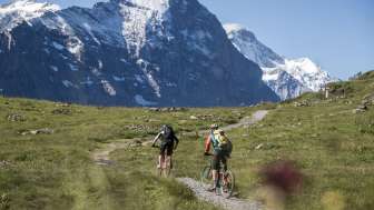 Mountainbike