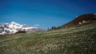 Hôtel Jungfrau Wengernalp