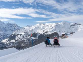 A thrilling sledding run down the Fox Run on the Männlichen. The white mountain panorama stretches out in the background.