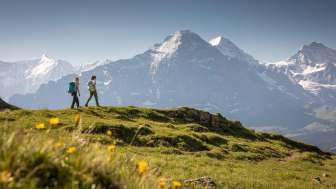 Randonnées à Grindelwald