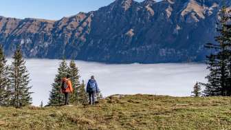 Wanderungen