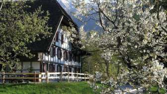 Wirtshaus Alter Bären