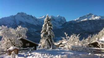 Hasliholiday