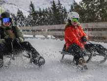 Two people sledding in the snow in winter from Kleine Scheidegg to Wengen. Snow-covered fir trees and other trees can be seen in the background.