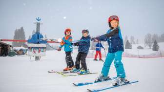 Skihäsliland Bidmi - Schweizer Skischule Meiringen-Hasliberg