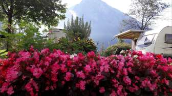 Camping Aareschlucht