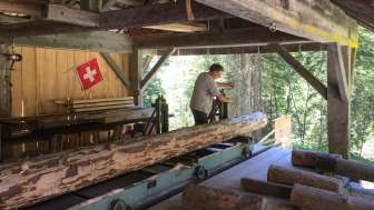 Scie historique de Gimmelwald