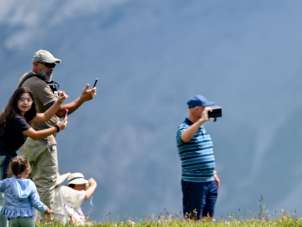 Plusieurs personnes se tiennent dans un alpage verdoyant et prennent en photo une vache solitaire. Cette scène illustre la découverte par les visiteurs de l'économie alpestre traditionnelle.
