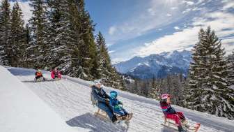 Pistes de luge