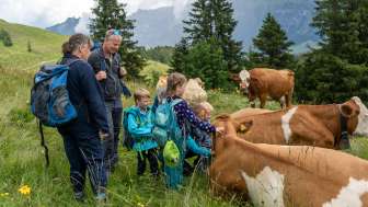 Les sentiers des vaches et les plaisirs de la table