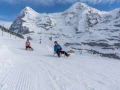 A thrilling toboggan ride down the Fox Run on the Männlichen. In the background, the white trio of the Eiger, Mönch, and Jungfrau stretches out.